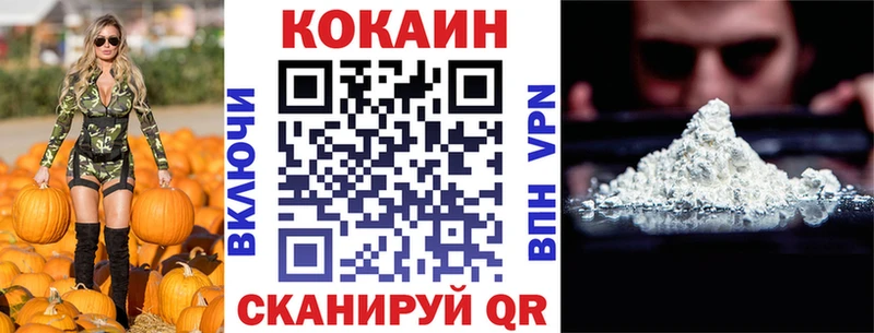 Cocaine Fish Scale  Купить закладки  Дмитров 